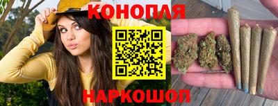 СК Будённовск