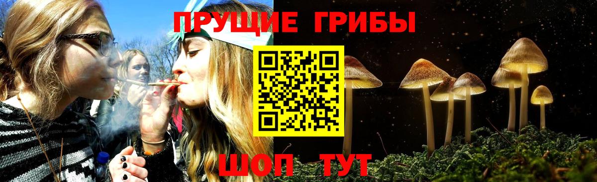 Ростов-на-Дону  Галлюциногенные грибы Psilocybe  Вход с VPN 